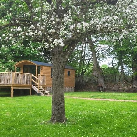Roulotte Escapade Nature A Morainville - Normandie Ngoại thất bức ảnh